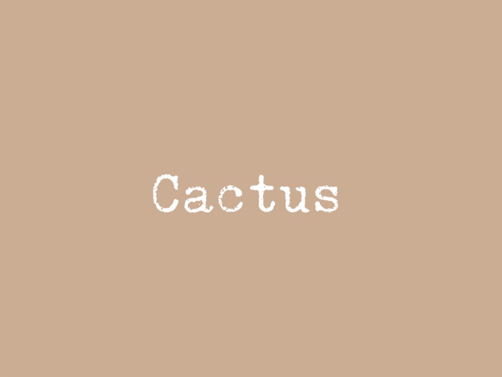 仙人掌Cactus Kid&Lady